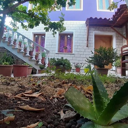 Guesthouse Hlias Gloria Berat Ngoại thất bức ảnh