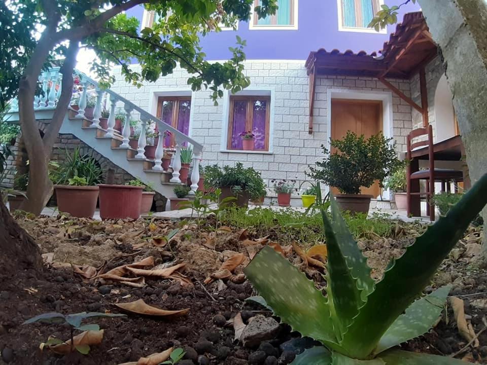 Guesthouse Hlias Gloria Berat Ngoại thất bức ảnh