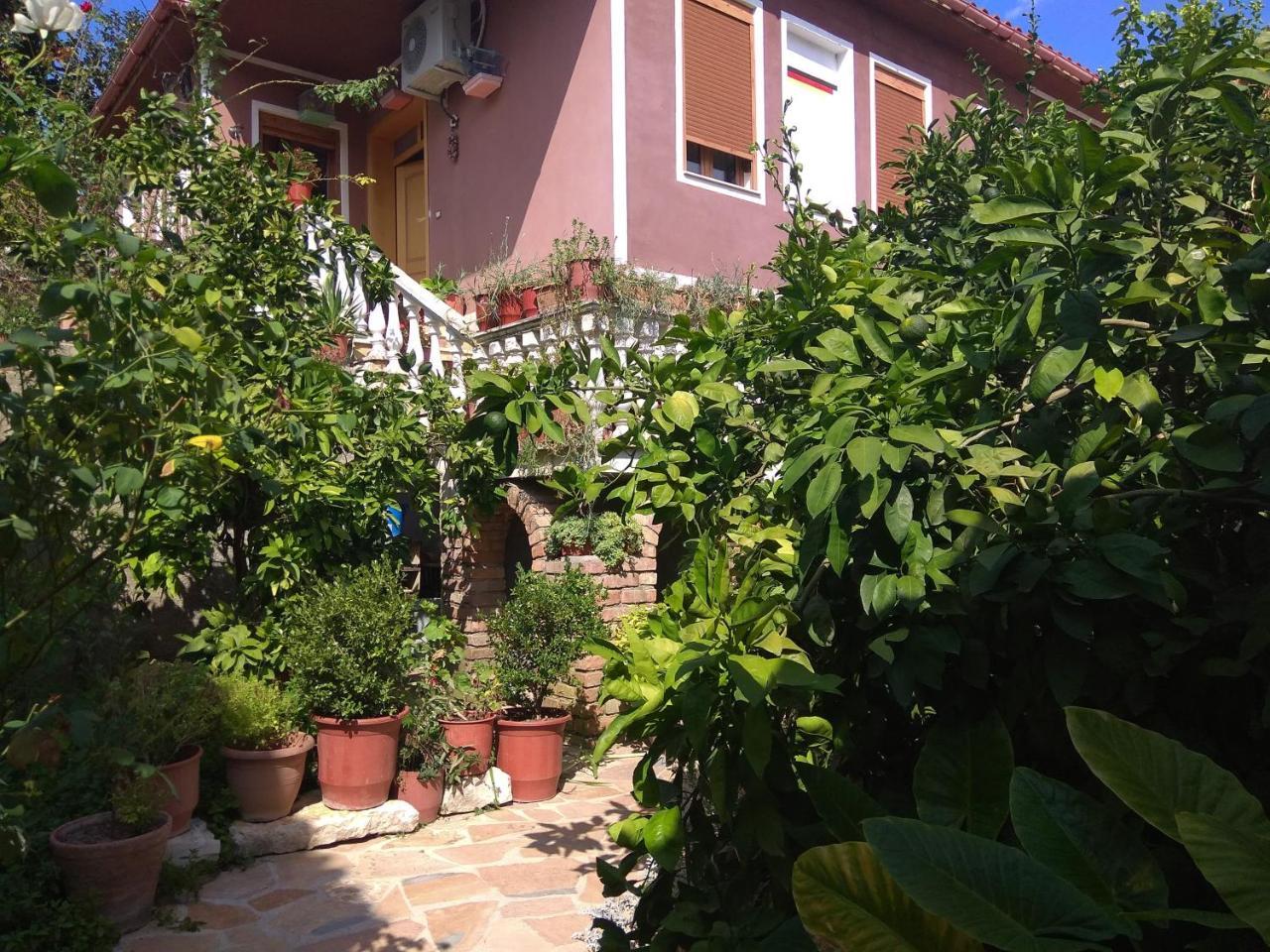 Guesthouse Hlias Gloria Berat Ngoại thất bức ảnh