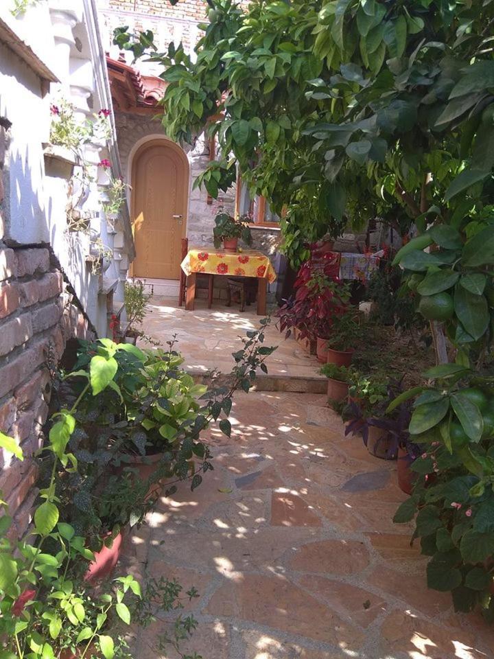 Guesthouse Hlias Gloria Berat Ngoại thất bức ảnh