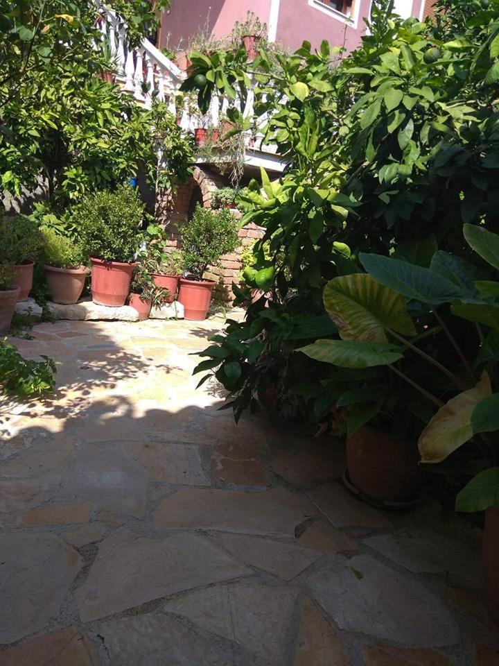 Guesthouse Hlias Gloria Berat Ngoại thất bức ảnh